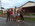 Photogallery