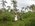 Photogallery