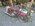 Photogallery
