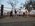 Photogallery