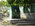 Photogallery