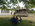 Photogallery