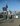 Photogallery