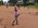 Photogallery