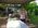 Photogallery