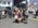 Photogallery