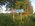 Photogallery