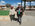 Photogallery