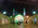 Photogallery