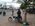 Photogallery