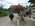 Photogallery
