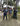 Photogallery