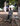 Photogallery