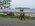 Photogallery