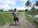 Photogallery