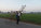 Photogallery