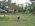 Photogallery