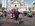 Photogallery