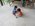 Photogallery