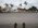 Photogallery