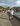 Photogallery